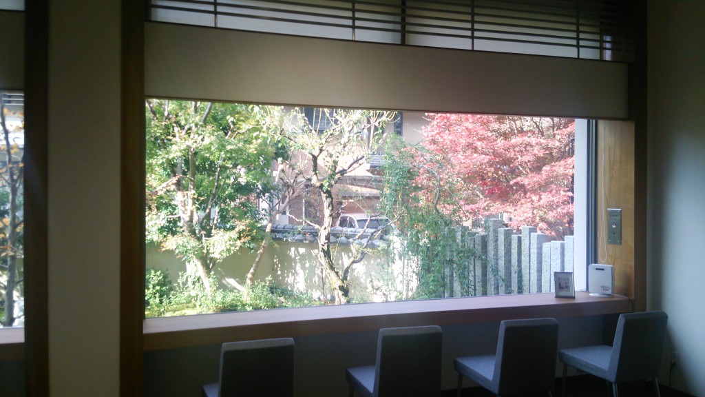 ルイイカールの庭