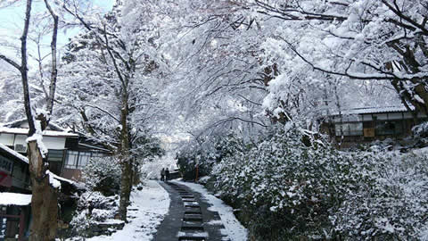 八瀬の雪化粧