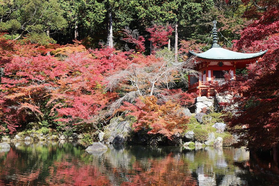 池に映る醍醐寺の弁天堂と紅葉