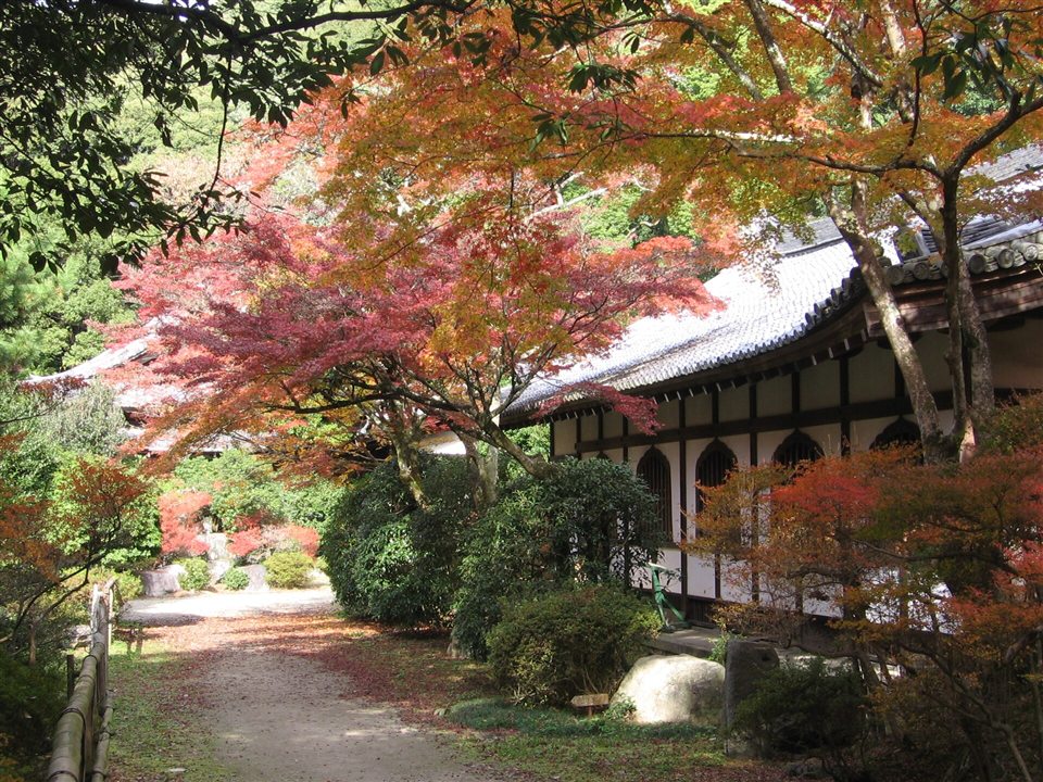 醍醐寺の建物と紅葉の小道