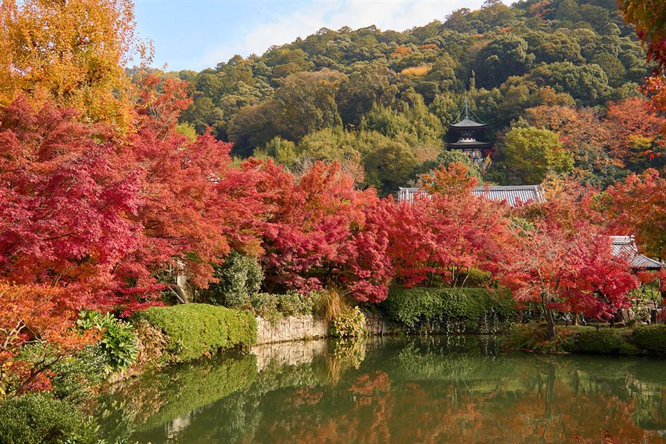永観堂の紅葉と放生池・多宝塔