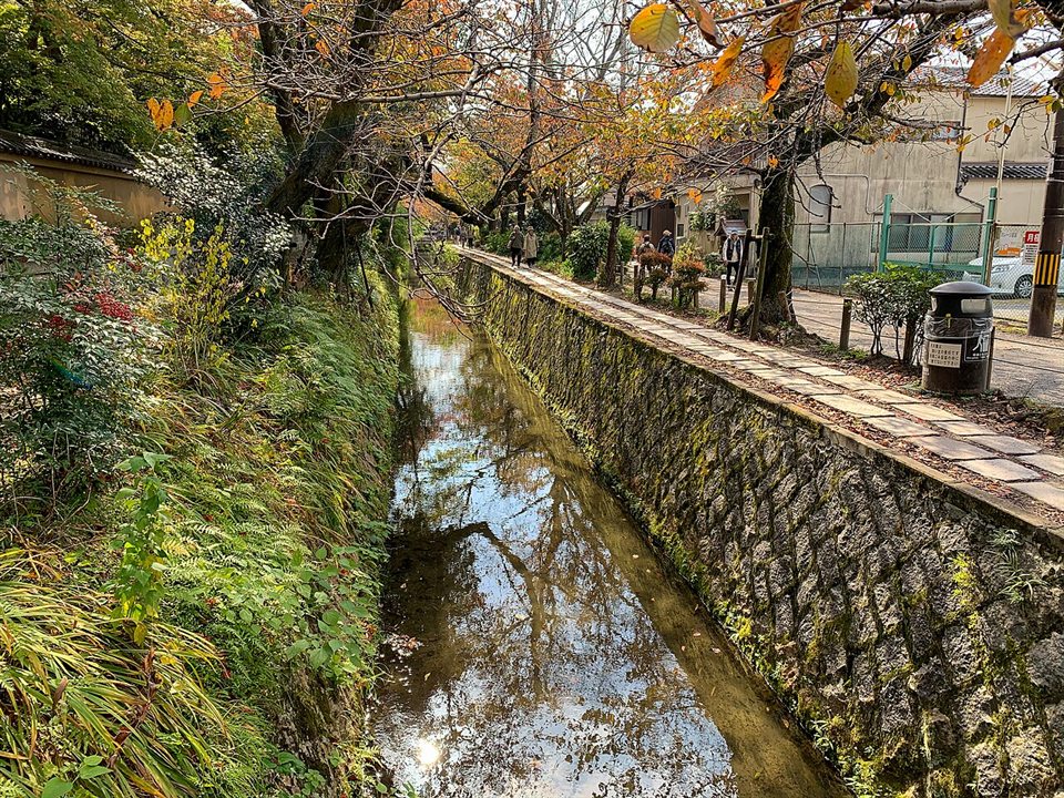 秋の哲学の道と疏水