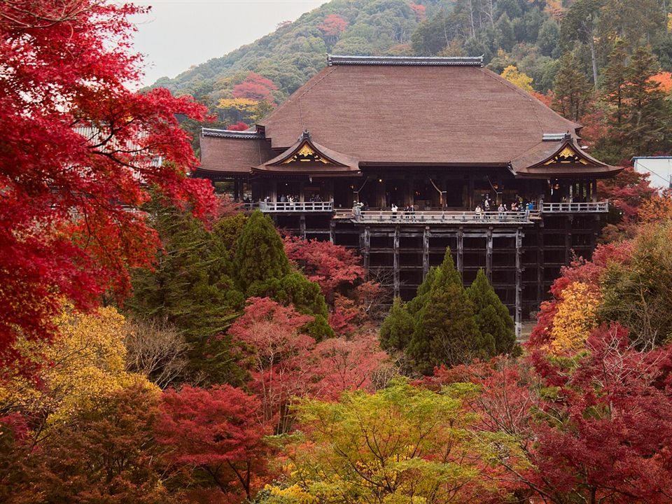 紅葉に包まれた清水寺の本堂