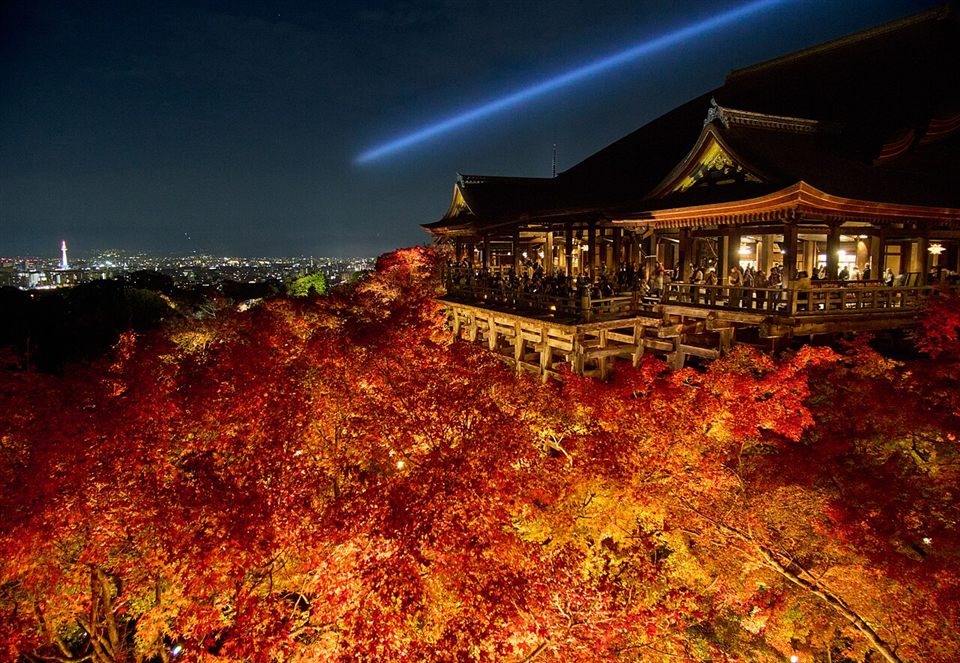 夜間特別拝観でライトアップされた清水寺と紅葉、夜空に伸びる青い光