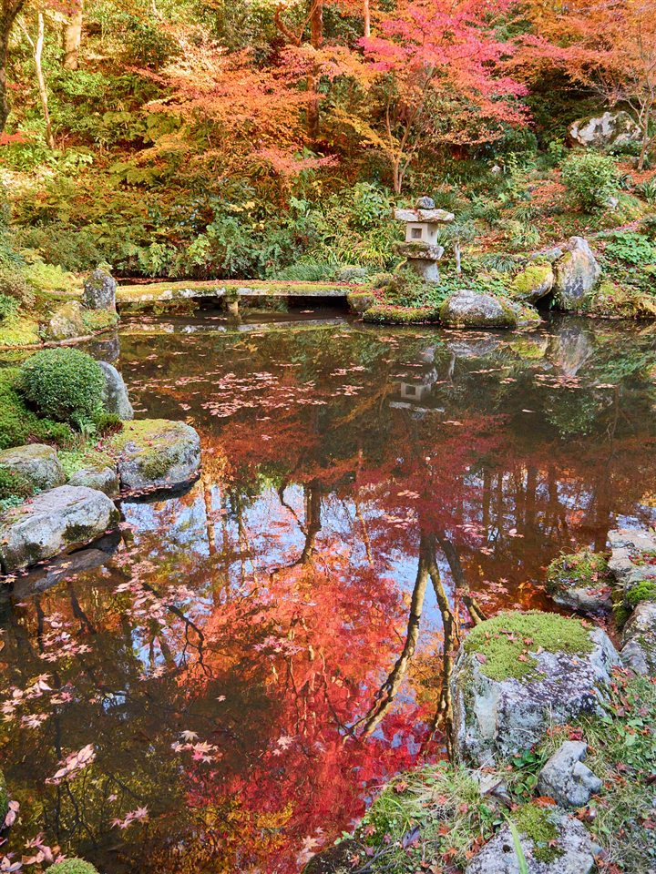 大原の寺院の池に映る紅葉