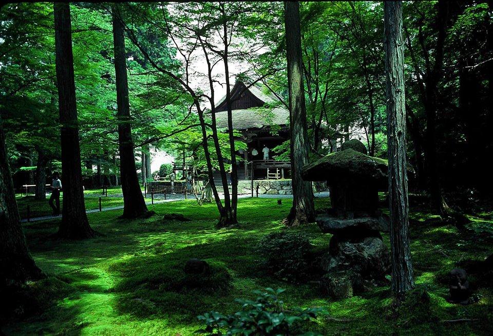 三千院の有清園の苔と往生極楽院
