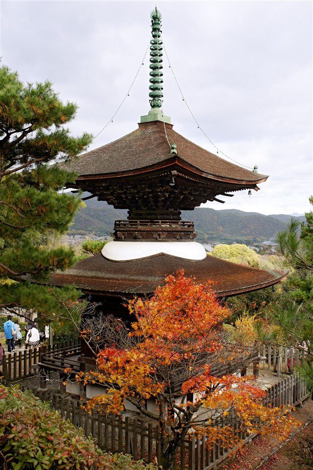 常寂光寺の多宝塔と紅葉