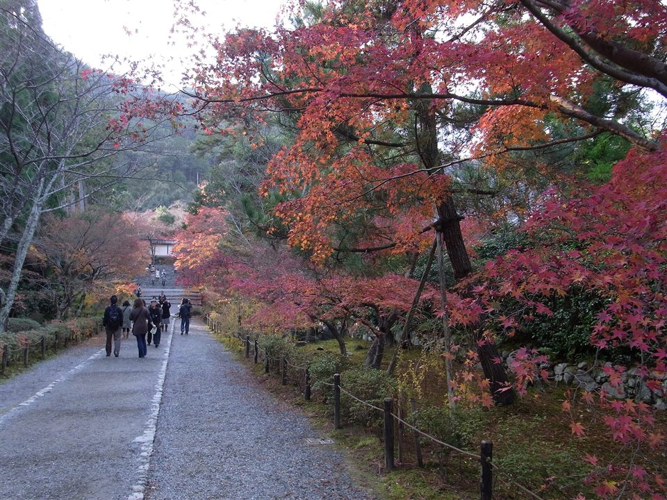 二尊院の参道「紅葉の馬場」
