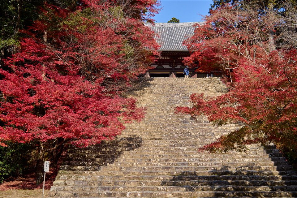 神護寺の金堂へ続く石段と両側の紅葉