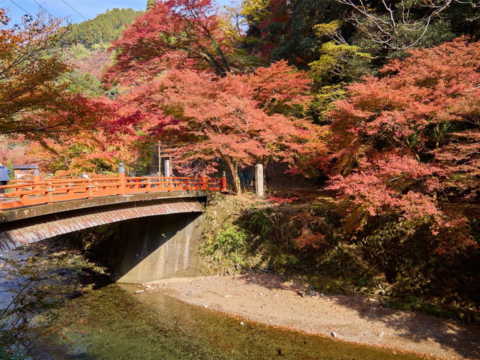 高雄の朱塗りの橋と紅葉の谷