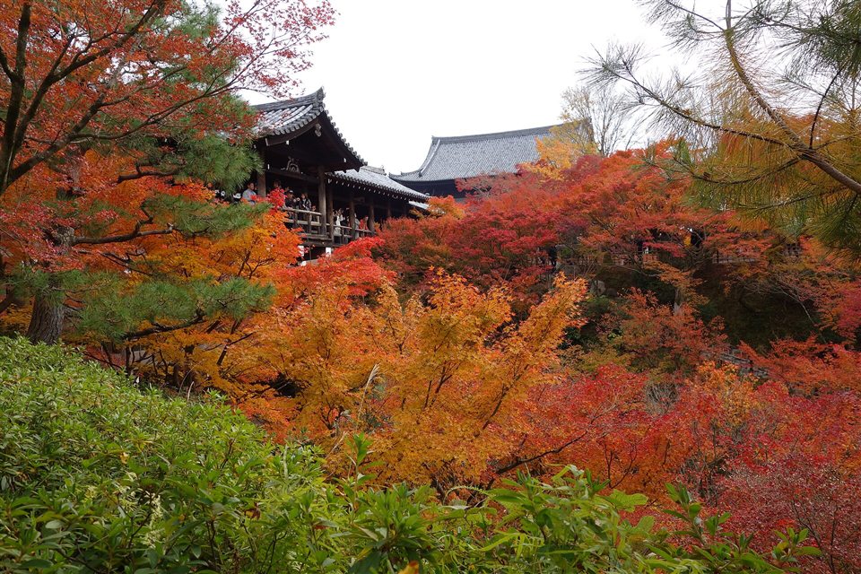 紅葉の中の通天橋