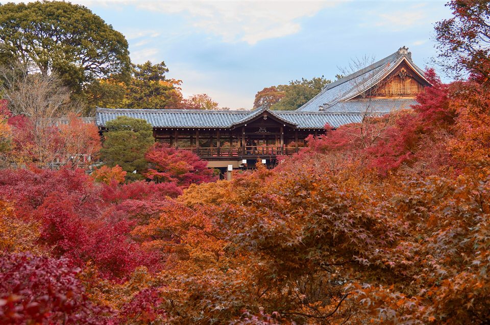 紅葉に囲まれた東福寺の通天橋と堂