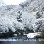 八瀬の雪化粧～叡電八瀬駅周辺