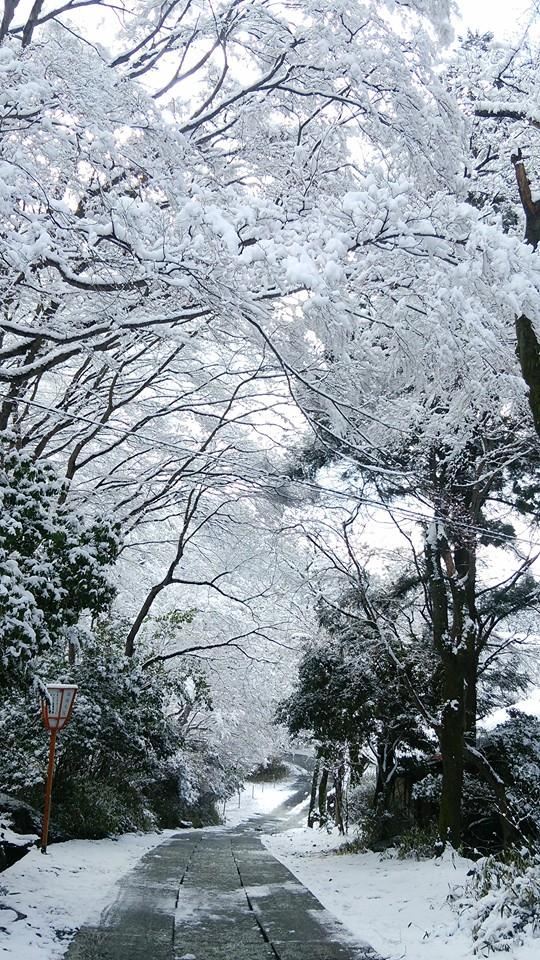 雪が積もった八瀬の小道（2014年1月撮影）